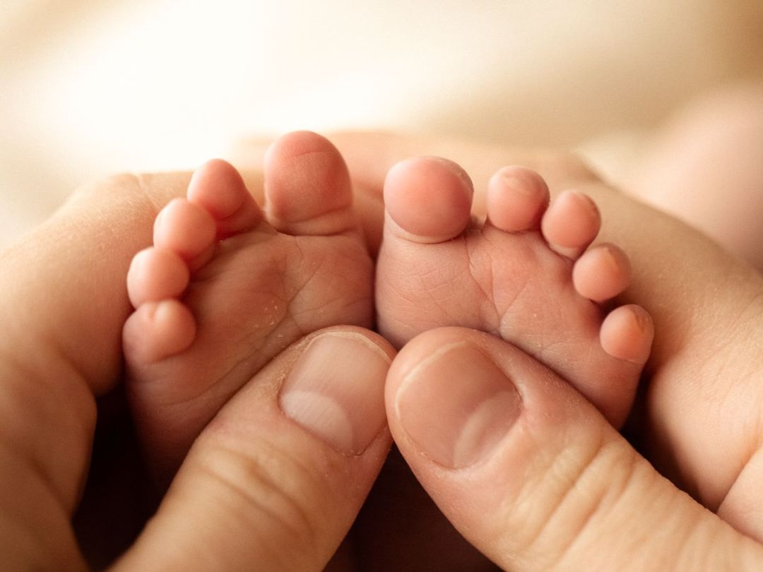 storie di carta fotografia rovigo